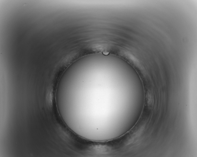 X0000089850637200707051116