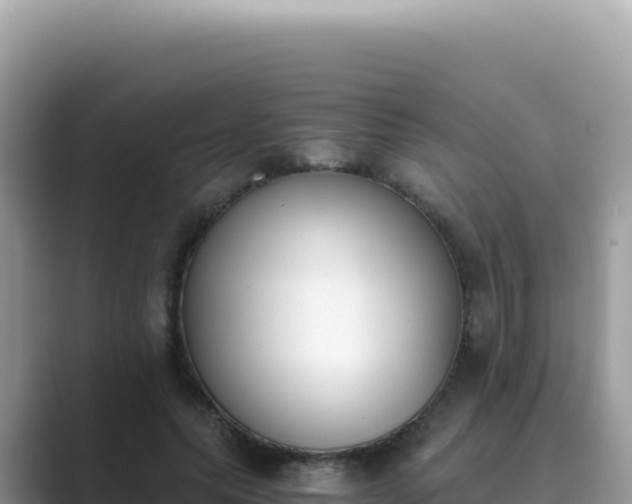 X0000089850639200707051116