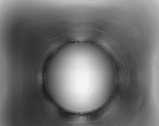 X0000089850640200707051116