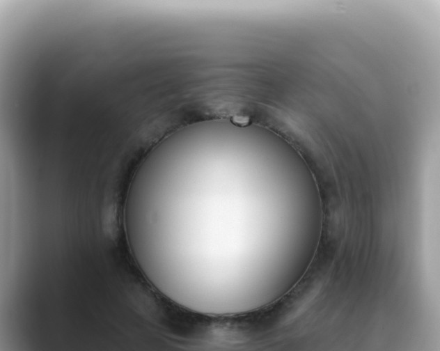 X0000089850641200707051116