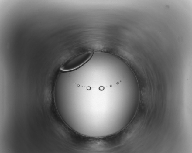 X0000089850642200707051116