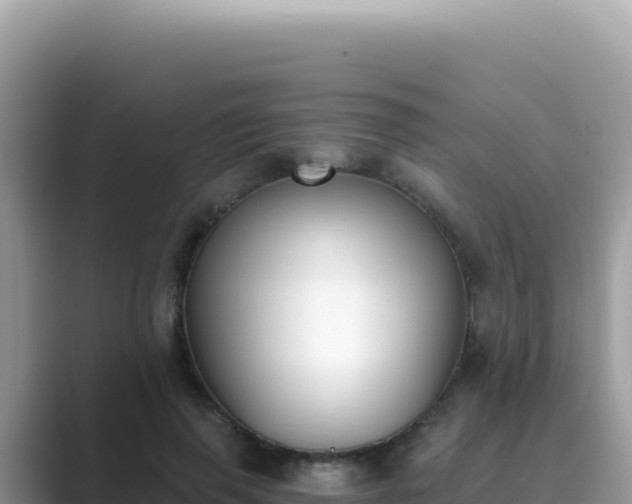 X0000089850645200707051116