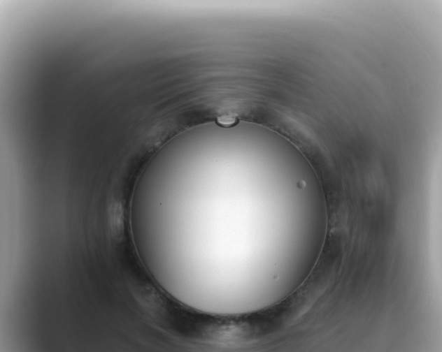 X0000089850646200707051116