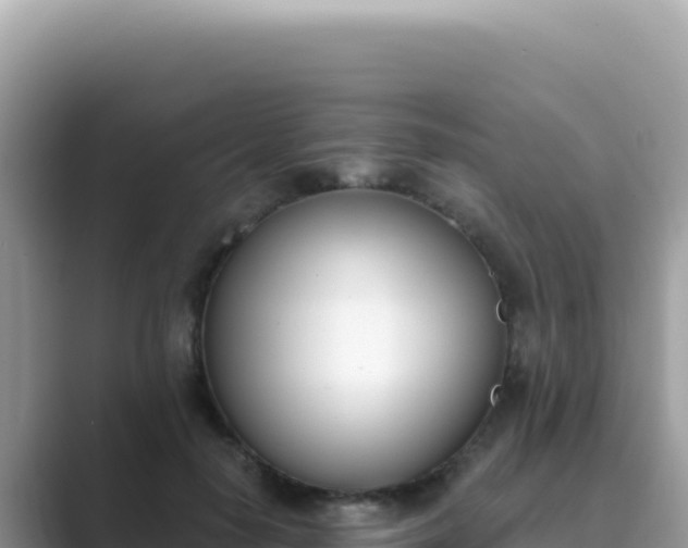 X0000089850650200707051116