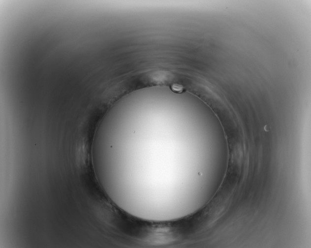 X0000089850651200707051116