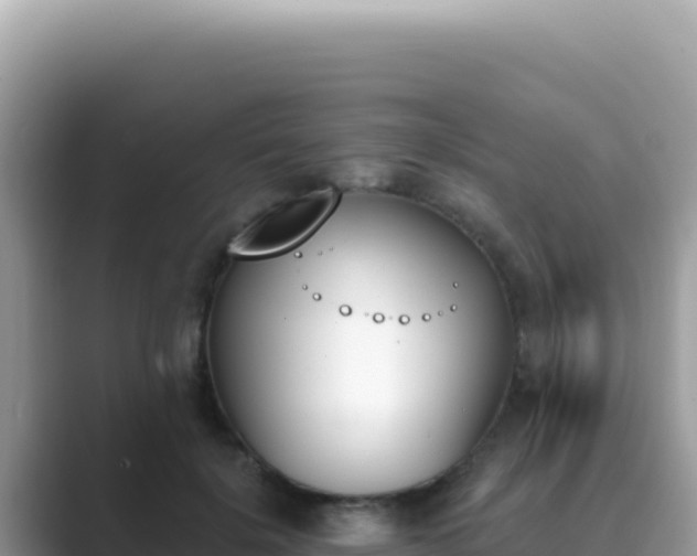 X0000089850652200707051116