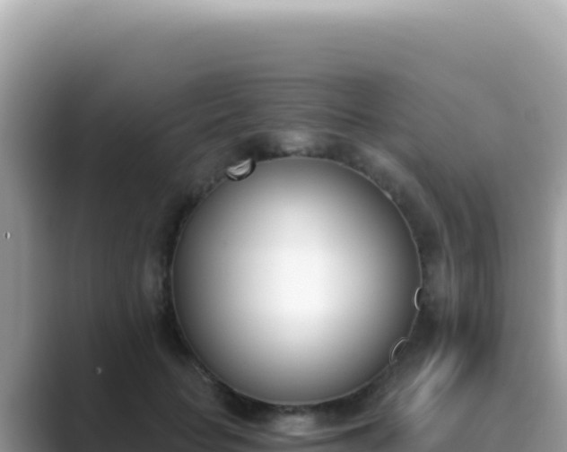 X0000089850653200707051116