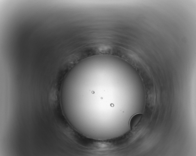X0000089850654200707051116