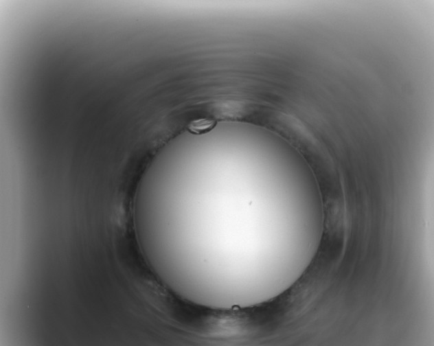 X0000089850655200707051116
