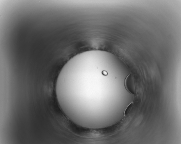 X0000089850656200707051116