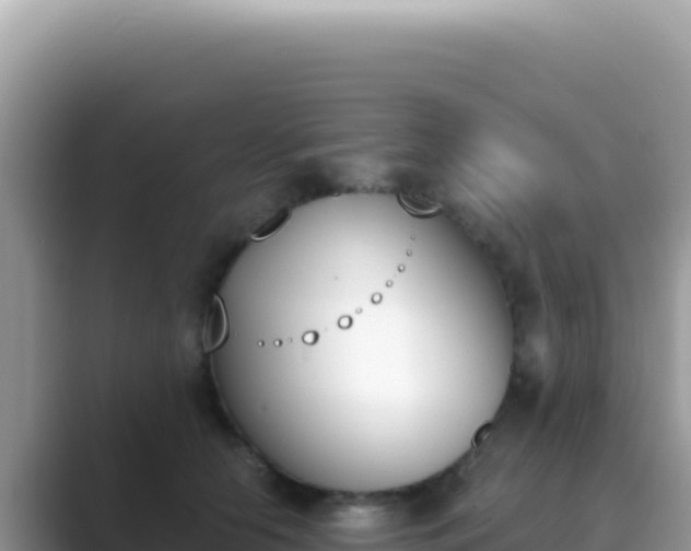 X0000089850658200707051116