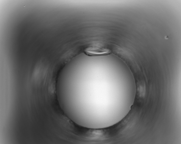 X0000089850665200707051116