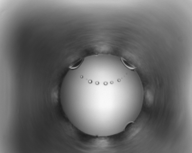 X0000089850668200707051116