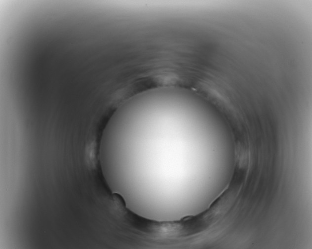 X0000089850670200707051116