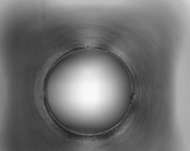 X0000089850673200707051115