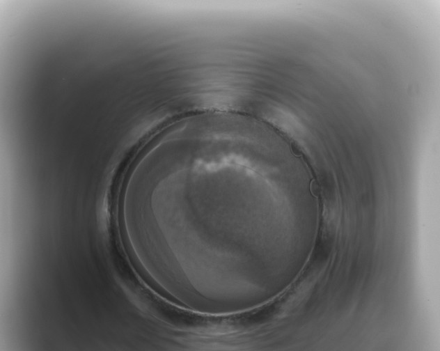 X0000089850674200707051115