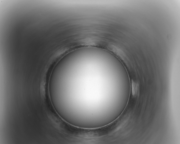 X0000089850675200707051115