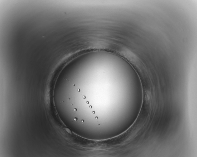 X0000089850676200707051115