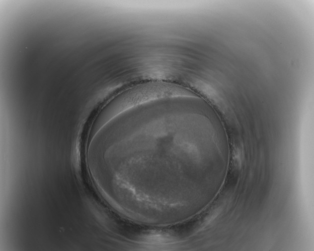 X0000089850678200707051115