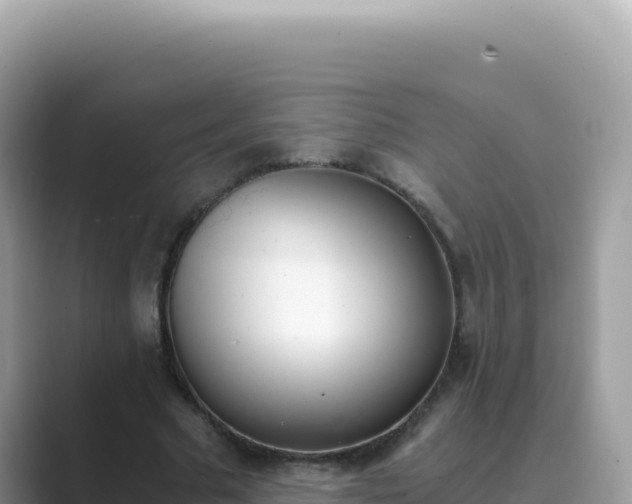 X0000089850681200707051115