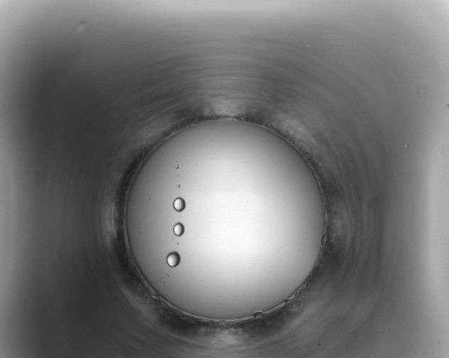 X0000089850683200707051115
