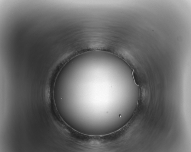 X0000089850684200707051115