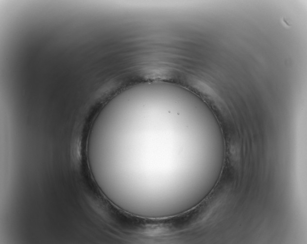 X0000089850686200707051115