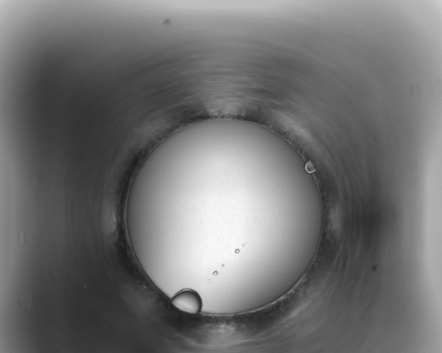 X0000089850687200707051115