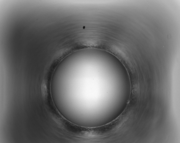 X0000089850688200707051115