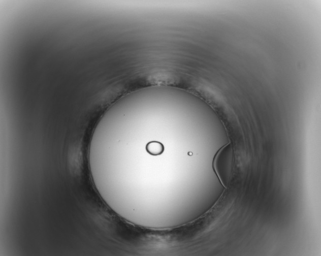 X0000089850690200707051115