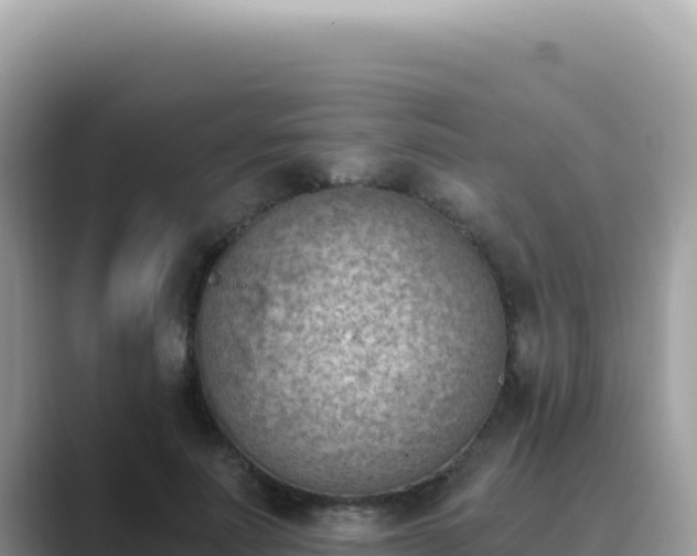 X0000089850691200707051115