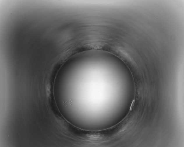 X0000089850693200707051115