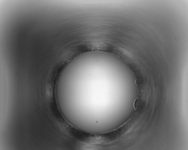 X0000089850695200707051115