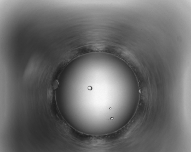 X0000089850697200707051115