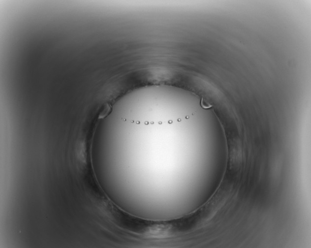 X0000089850700200707051115