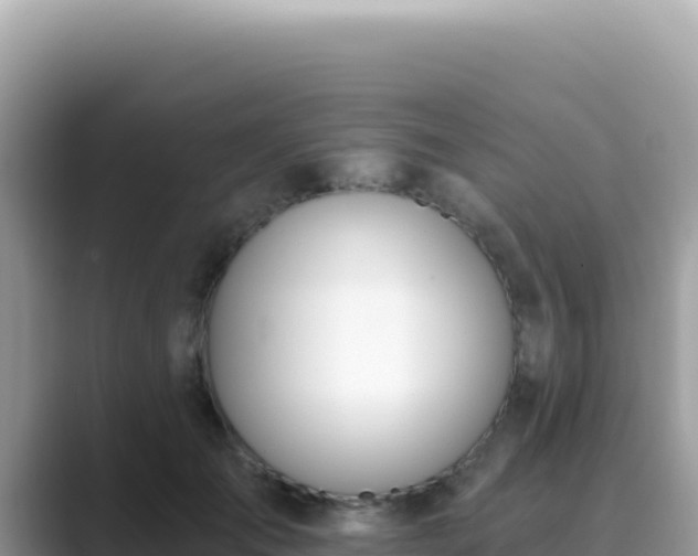 X0000089850701200707051115