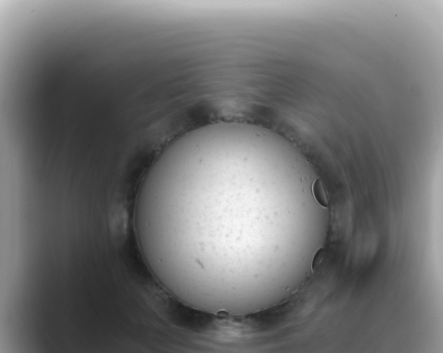 X0000089850703200707051115