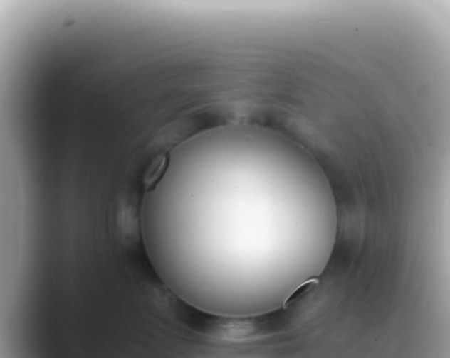 X0000089850719200707051115
