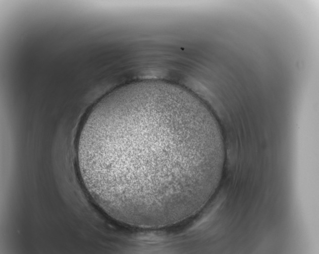X0000089850721200707051114