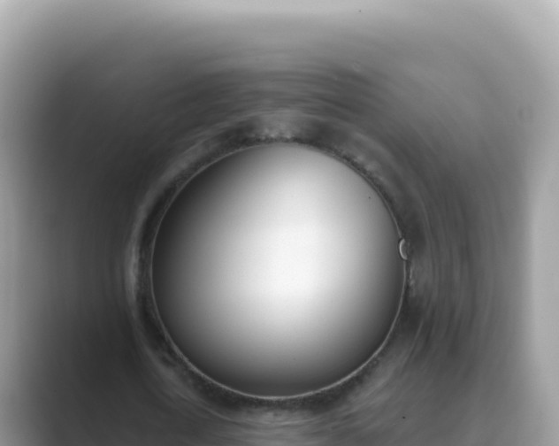X0000089850722200707051114