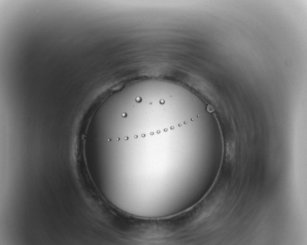 X0000089850724200707051114
