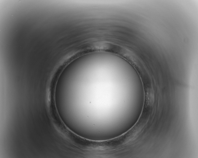 X0000089850726200707051114