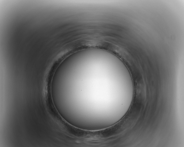 X0000089850727200707051114