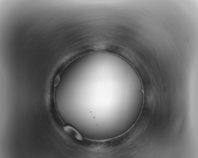 X0000089850728200707051114