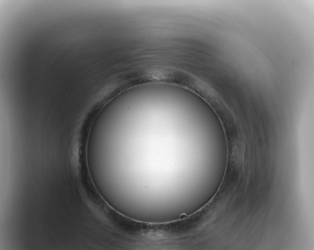 X0000089850730200707051114