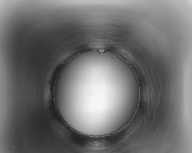 X0000089850731200707051114