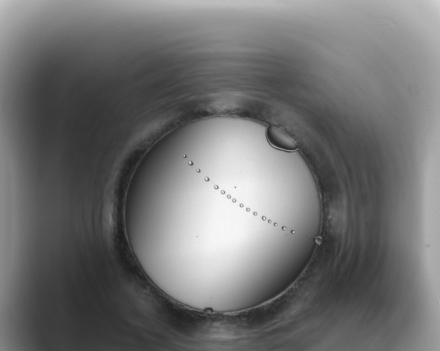 X0000089850732200707051114