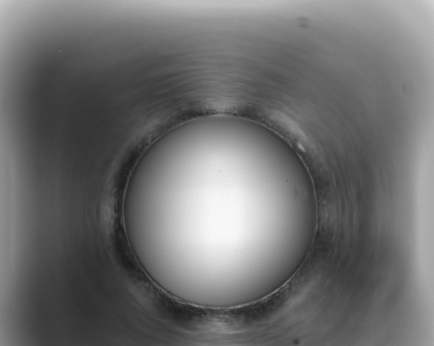 X0000089850736200707051114