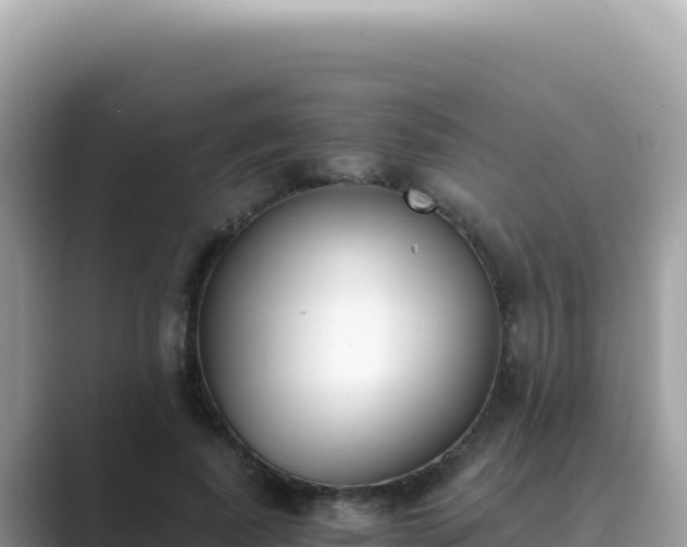 X0000089850739200707051115