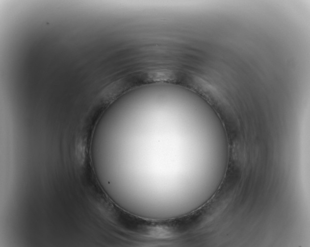 X0000089850741200707051115